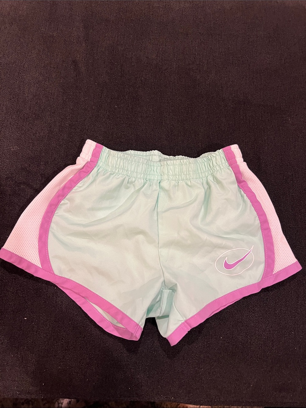 Nike Mint Green Shorts with Pink Trim